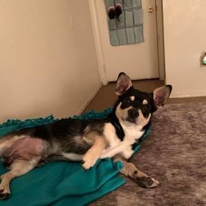 Meet your Posher, Helen